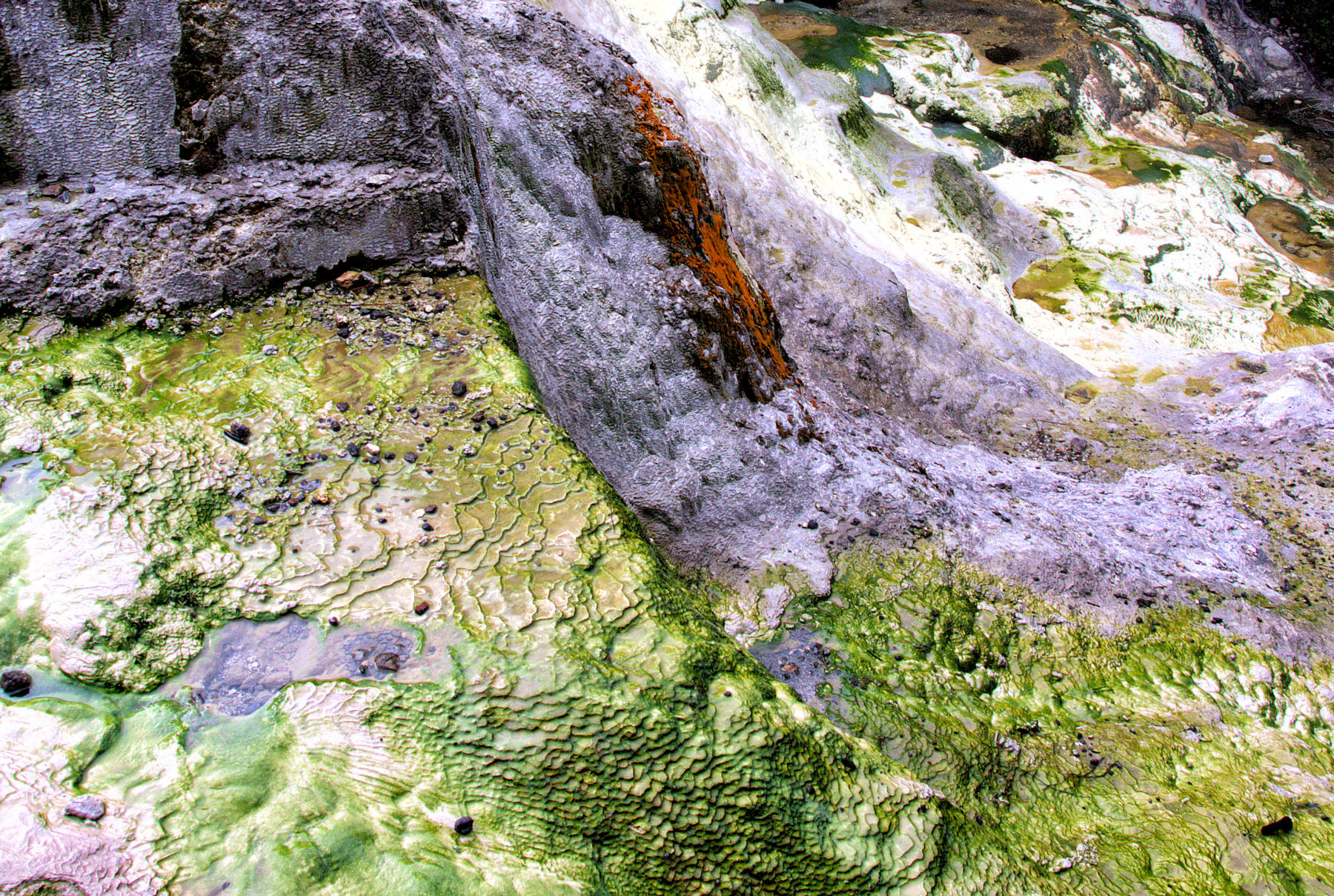 Rotorua e le sue meraviglie geotermiche - Un viaggio in Nuova Zelanda #5