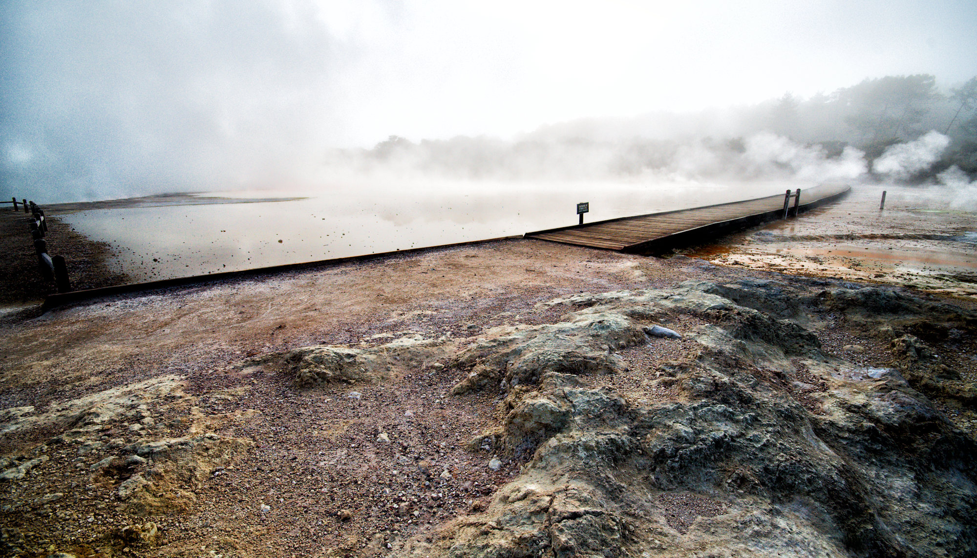 Rotorua e le sue meraviglie geotermiche - Un viaggio in Nuova Zelanda #5