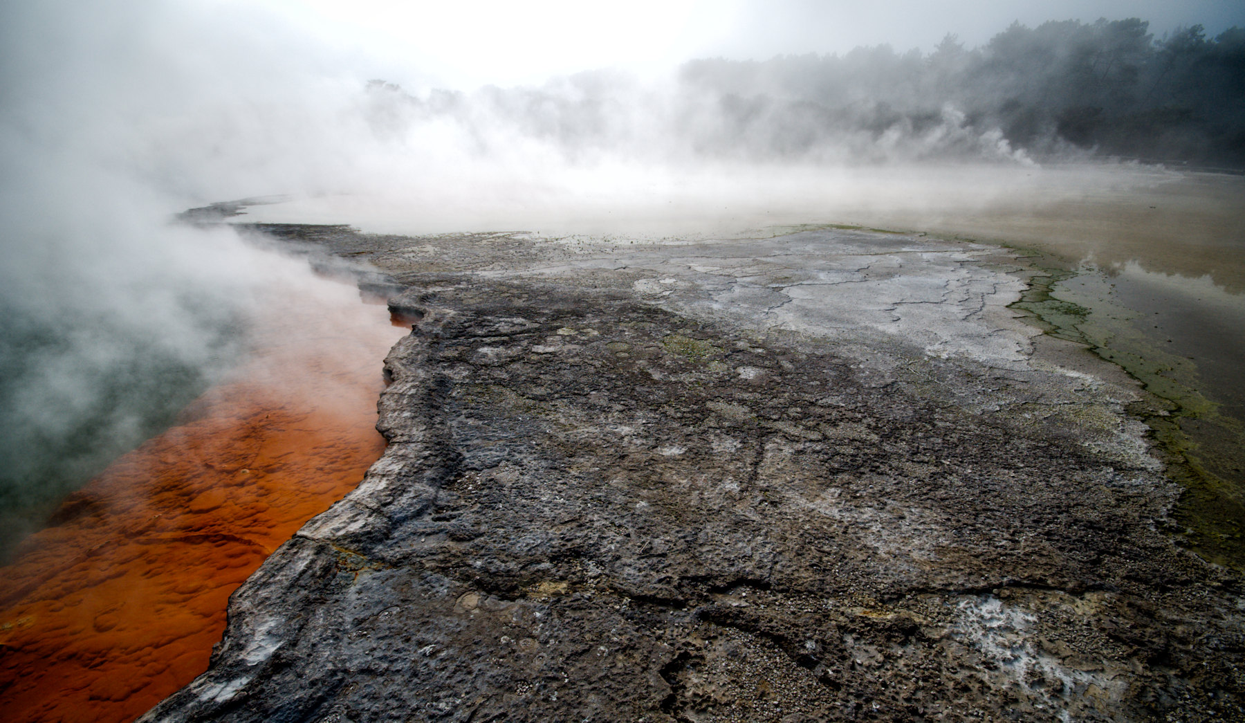 Rotorua e le sue meraviglie geotermiche - Un viaggio in Nuova Zelanda #5