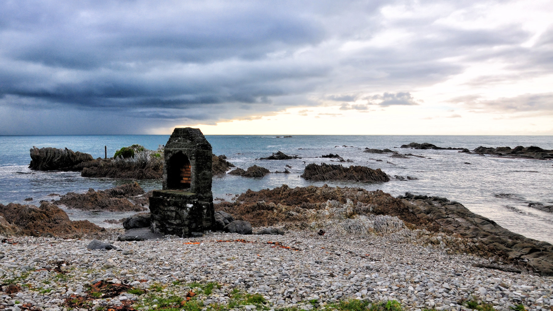Balene e foche a Kaikoura - Viaggio in Nuova Zelanda #8