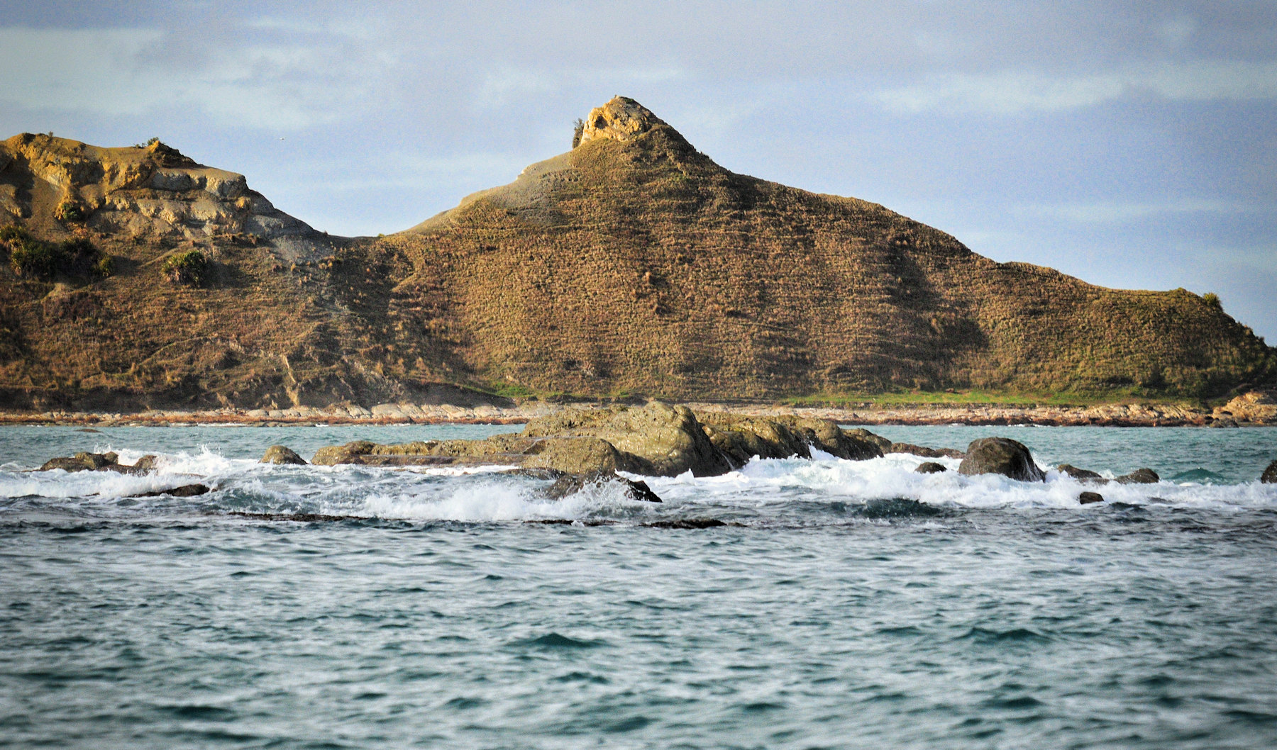 Balene e foche a Kaikoura - Viaggio in Nuova Zelanda #8
