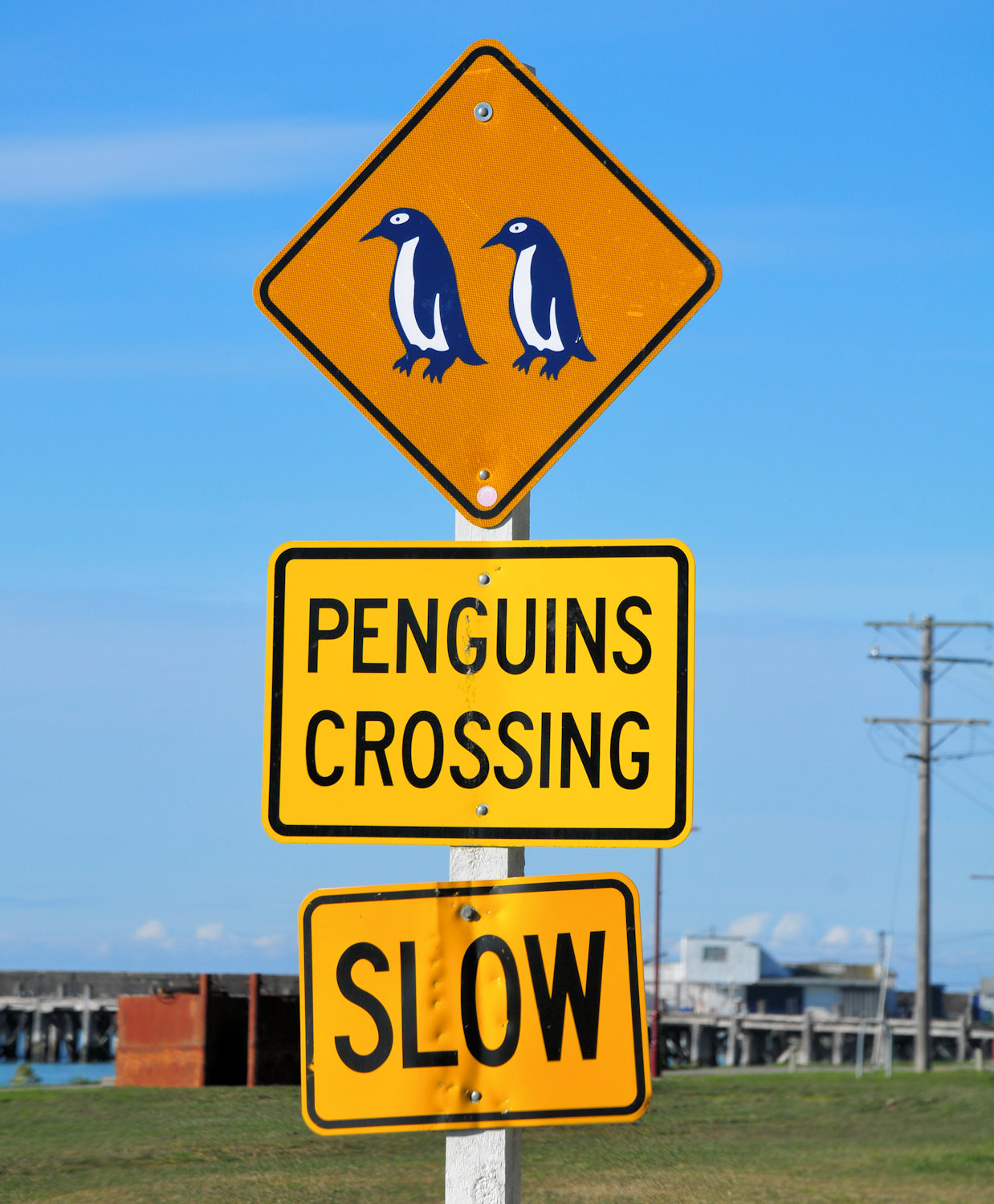 Massi di Moeraki, museo dell aviazione e chiese - Viaggio in Nuova Zelanda #9