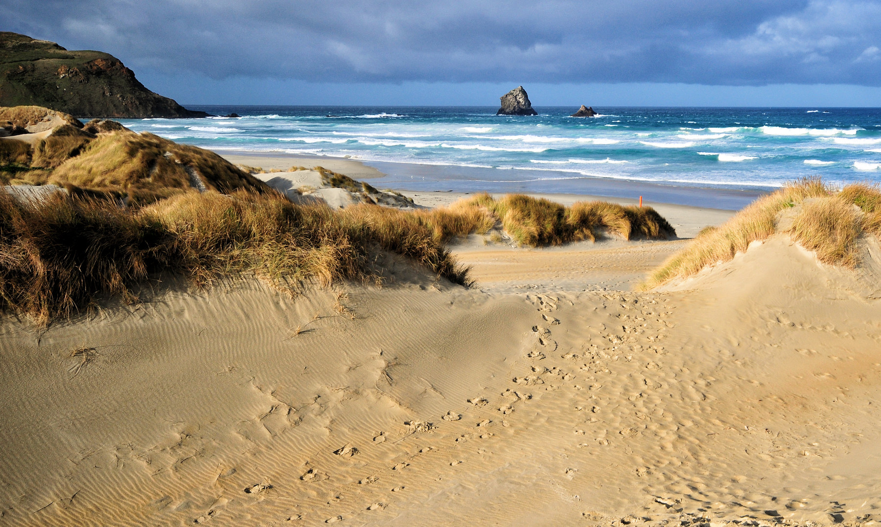 Architettura vittoriana a Dunedin e leoni di mare - Viaggio in Nuova Zelanda #10