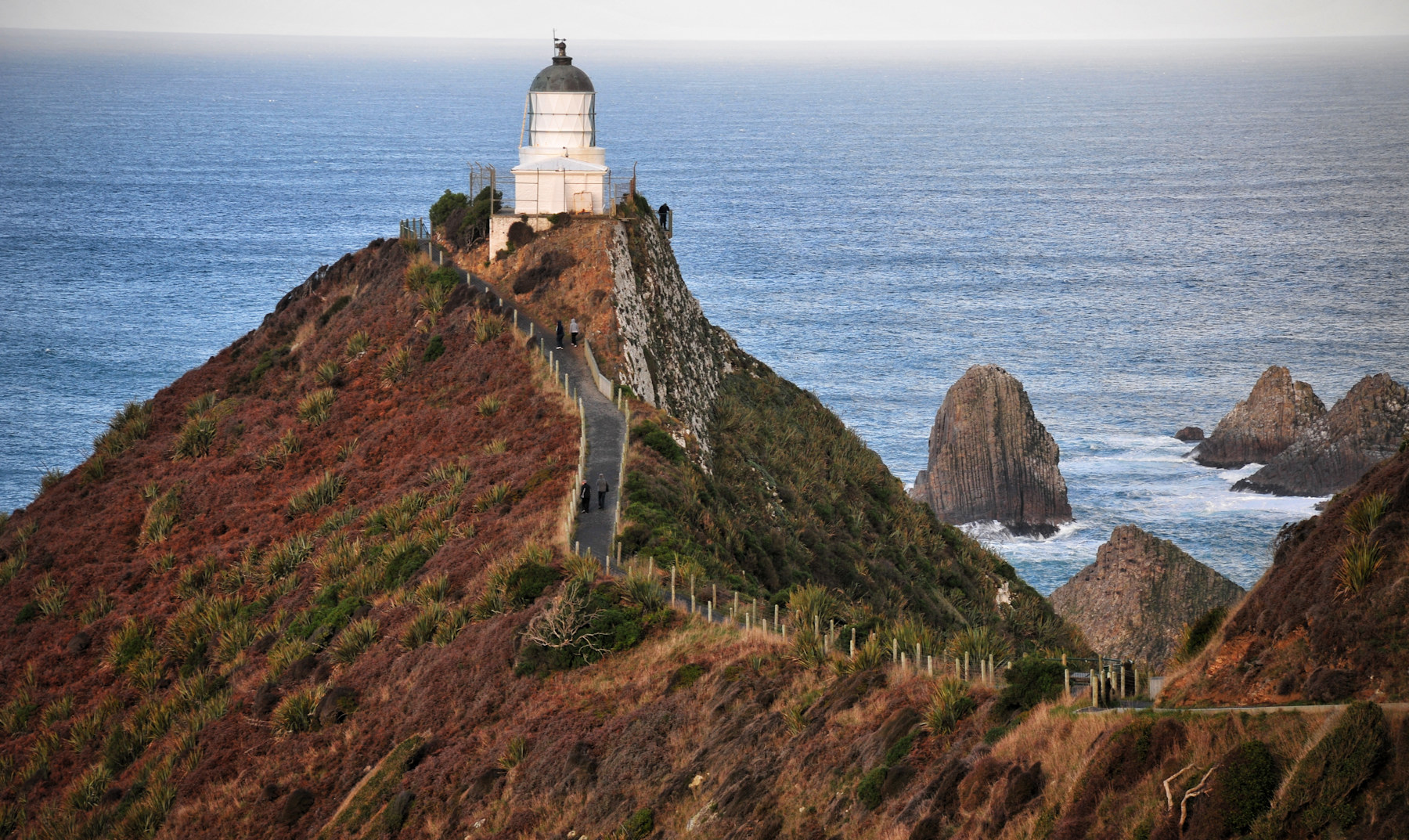 Architettura vittoriana a Dunedin e leoni di mare - Viaggio in Nuova Zelanda #10
