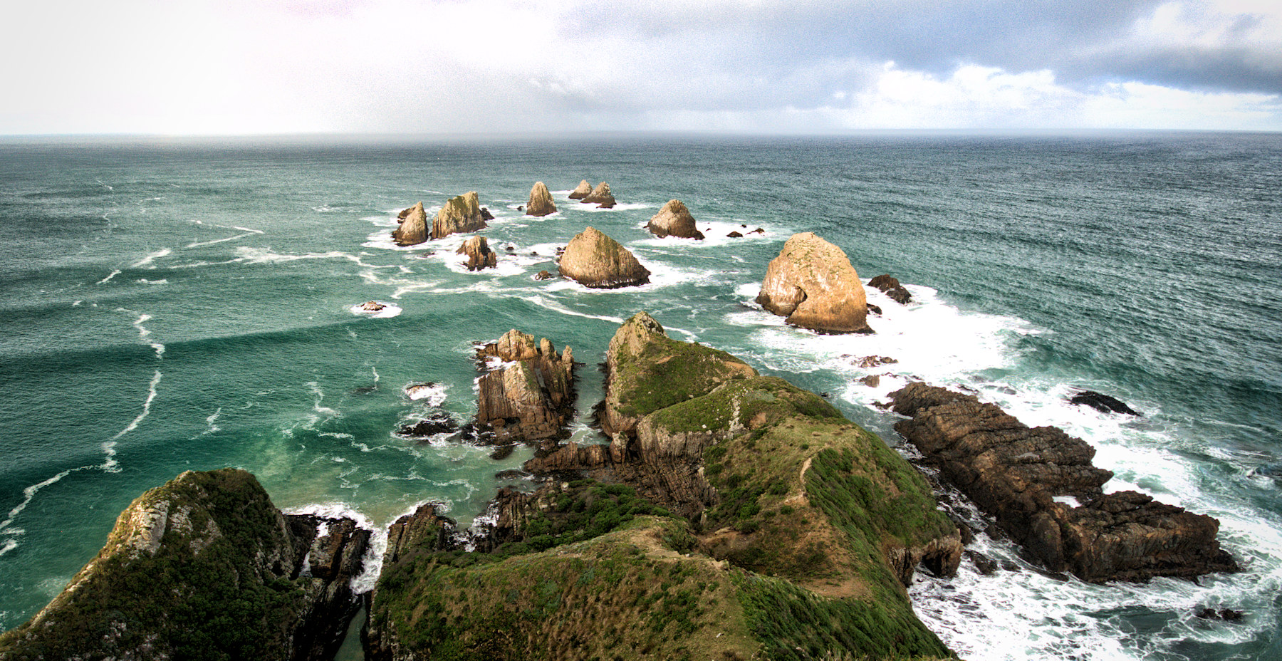 Architettura vittoriana a Dunedin e leoni di mare - Viaggio in Nuova Zelanda #10