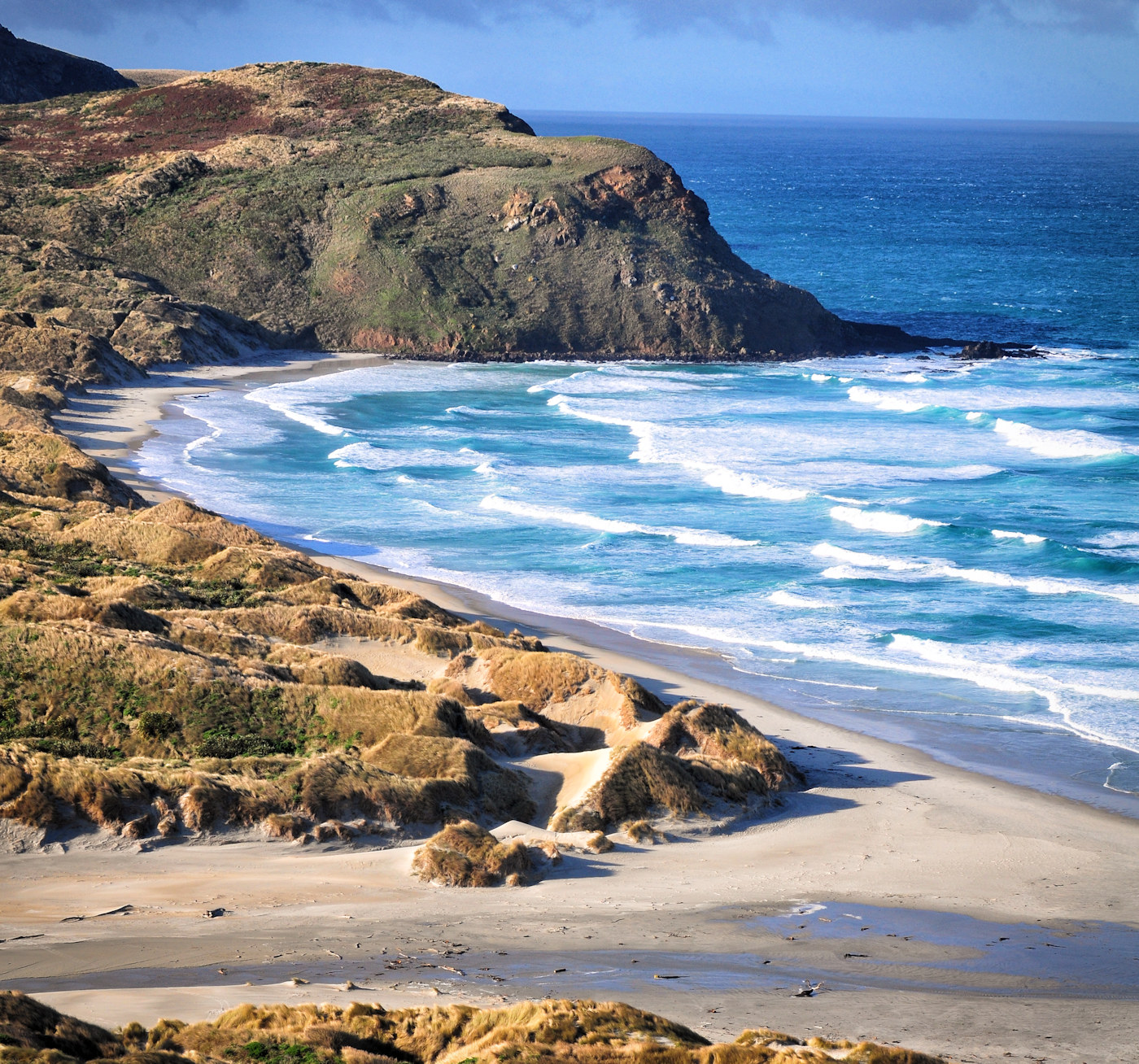 Architettura vittoriana a Dunedin e leoni di mare - Viaggio in Nuova Zelanda #10