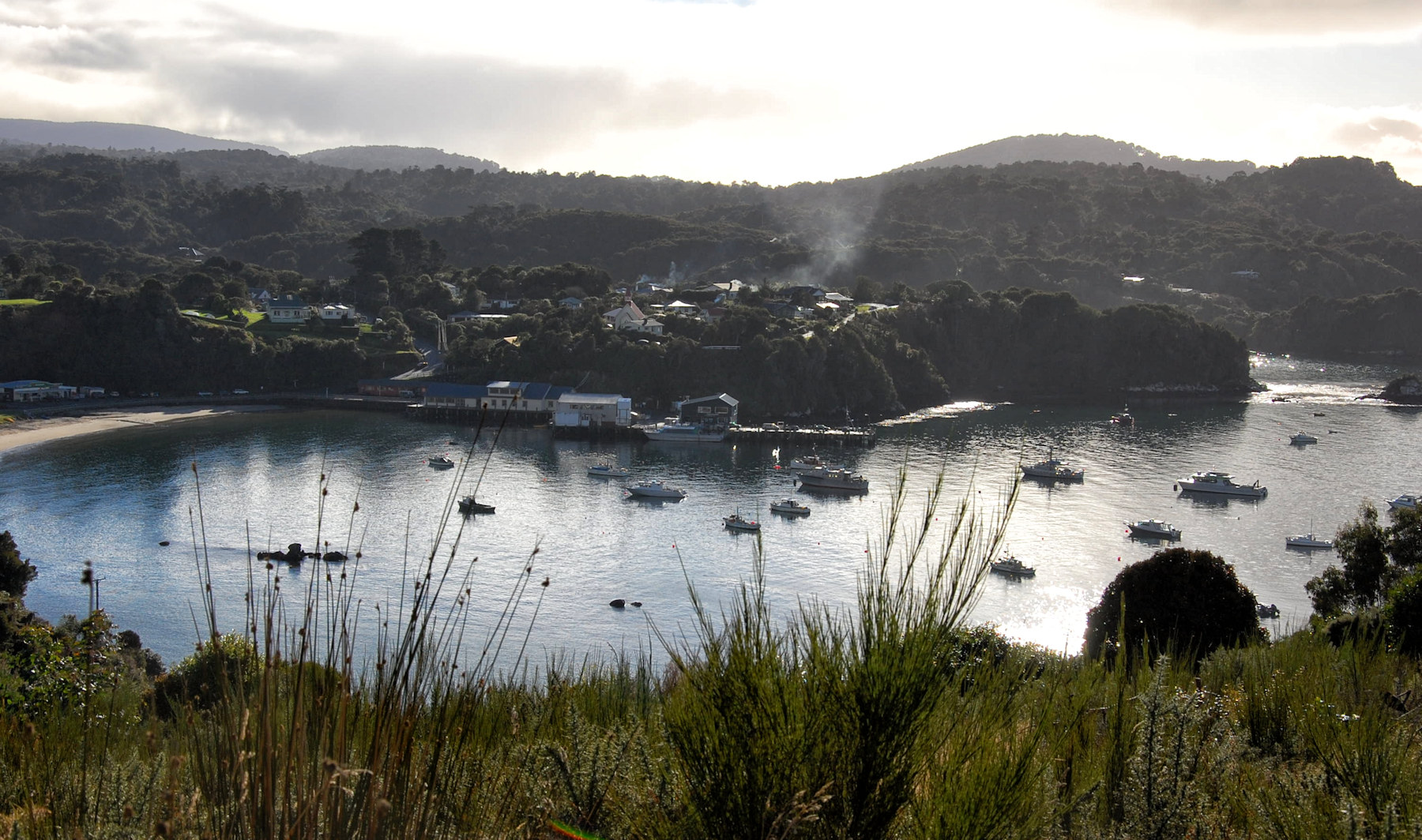 Birdwatching a Stewart Island - Viaggio in Nuova Zelanda #11