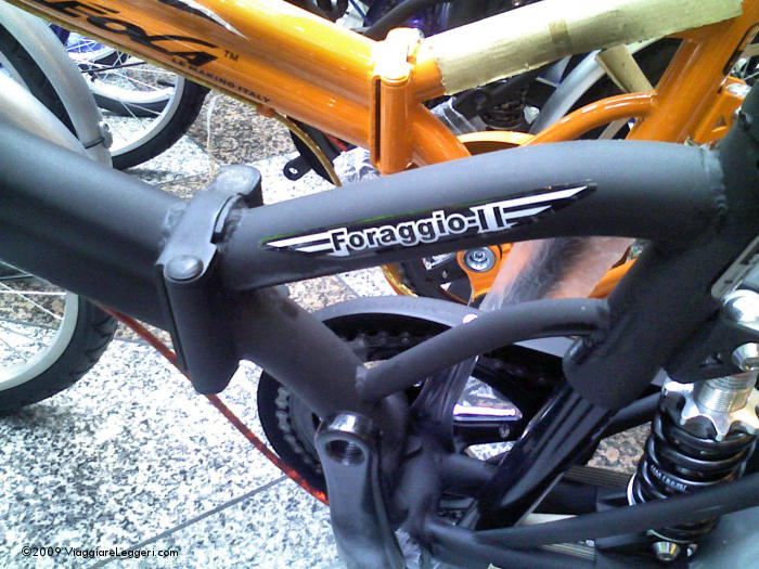 Aleoca Foraggio: una bestia di bici!