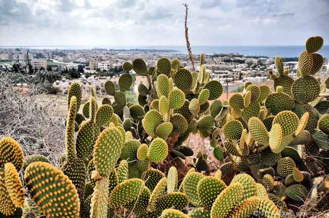 Paphos (a Cipro) non e' una metropoli, non e'