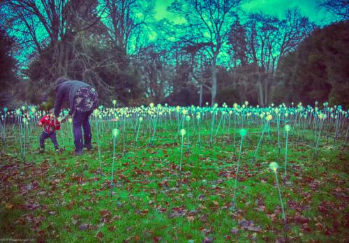 Bruce Munro e' un artista britannico, e  