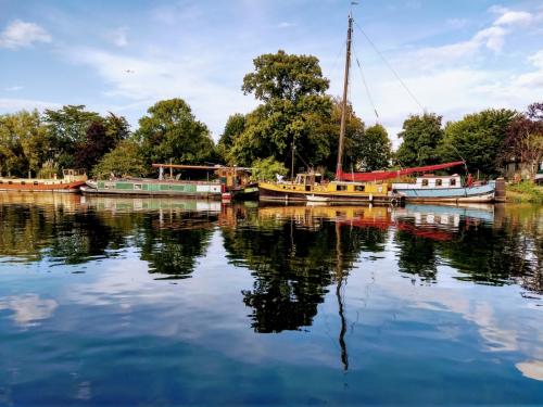 
Barca a vela, narrow boat e chiatte olandesi