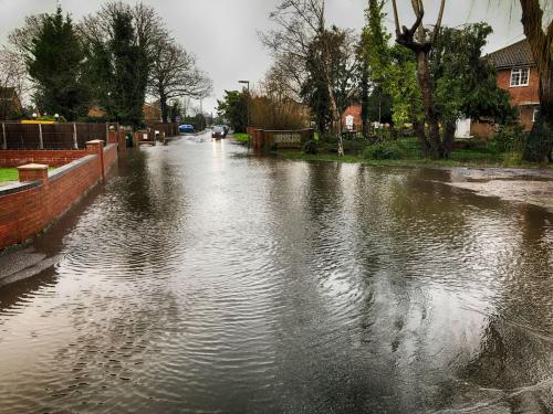 Nel sud dell’Inghilterra l’inverno non è una