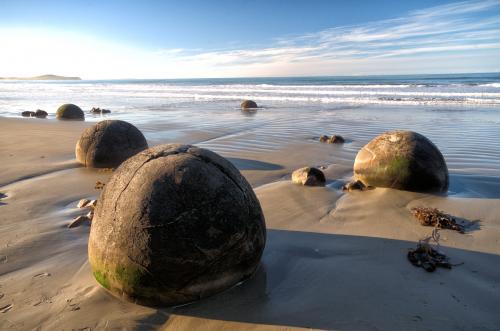 Dopo balene, foche e mal di mare al largo di